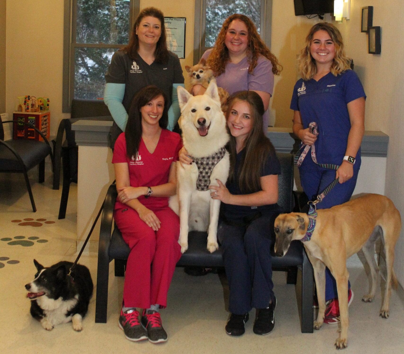About Us Glasgo Memorial Veterinary Hospital