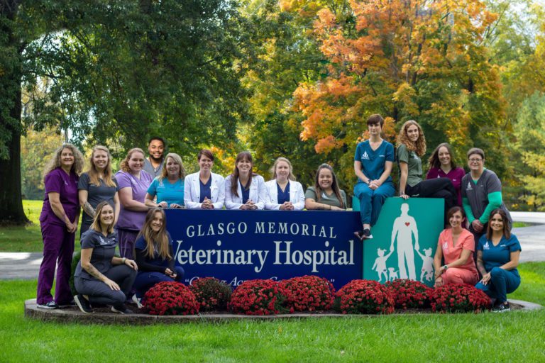 About Us Glasgo Memorial Veterinary Hospital